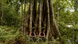 CARRÉ  BLANC  PRODUCTIONS