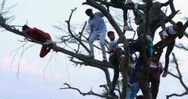 CARRÉ  BLANC  PRODUCTIONS